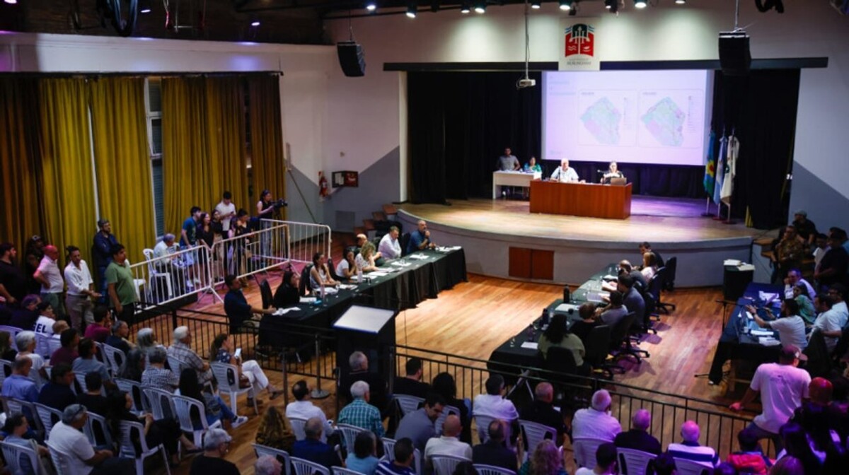 Публичные слушания по реформе градостроительного кодекса в Хурлингеме