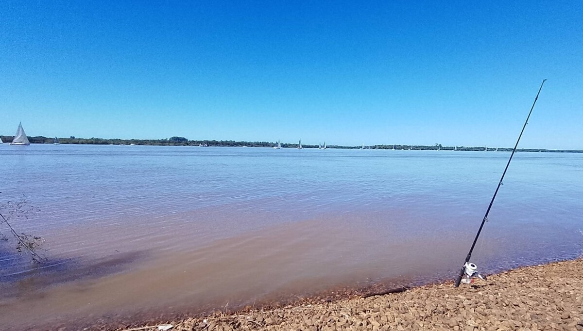 Nova Scotia: A natural paradise in Entre Ríos for summer vacations