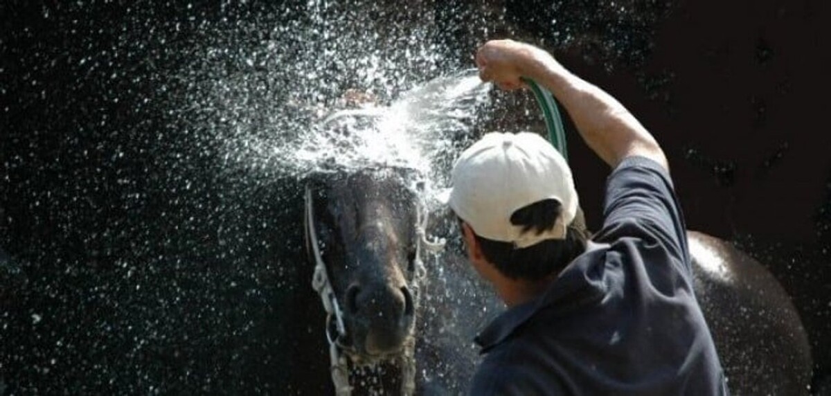 Buenos Aires to Host Million-Dollar Horse Racing Event
