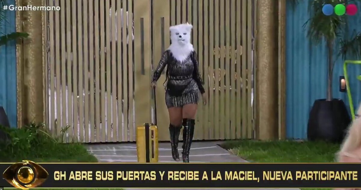 New TikTok Star Enters 'Big Brother' House