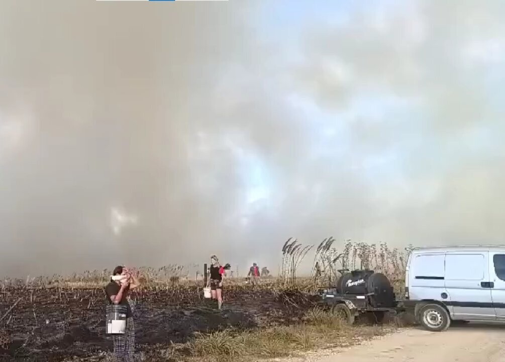 Major Forest Fires in Mar del Plata