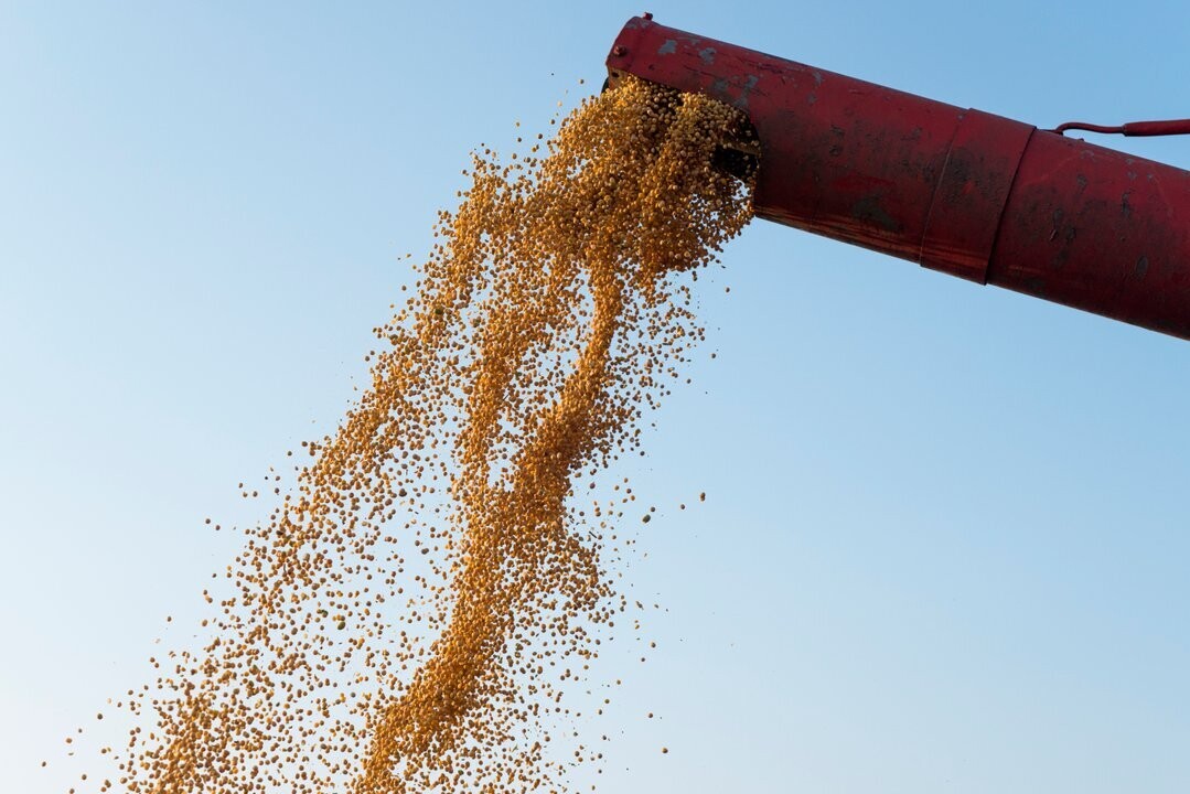 Projected Drop in Argentine Agroindustrial Exports