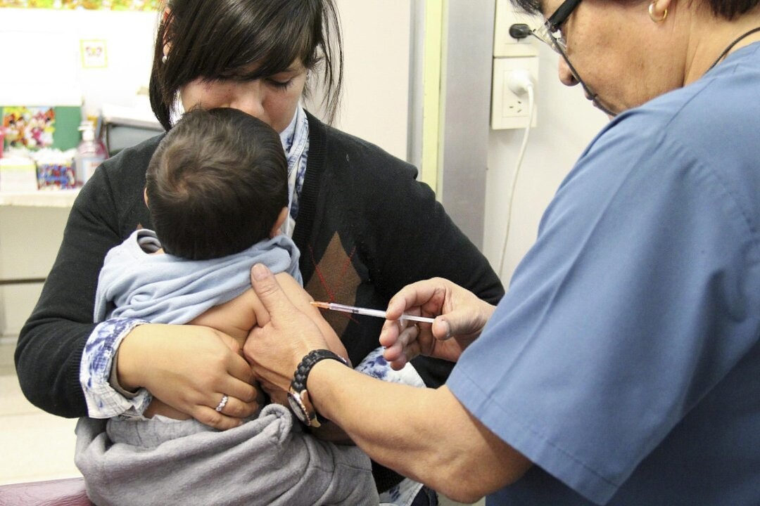 Предупреждение о вспышке кории в Аргентине