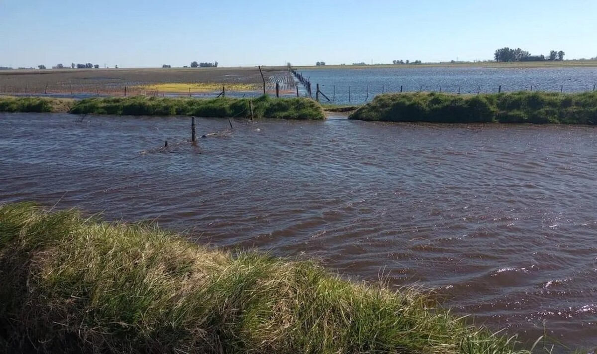 Кризис наводнений в Брагадо: затопленные поля, разбитые дороги и отчаяние фермеров