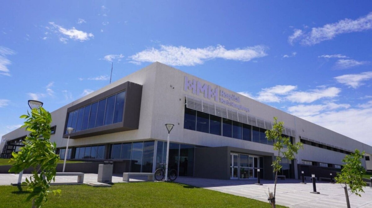 Mujer da a luz a trigemelas idénticas en Argentina