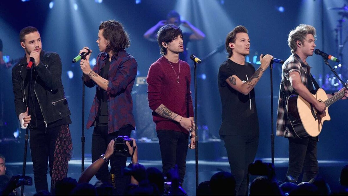 One Direction Could Reunite for Liam Payne Tribute