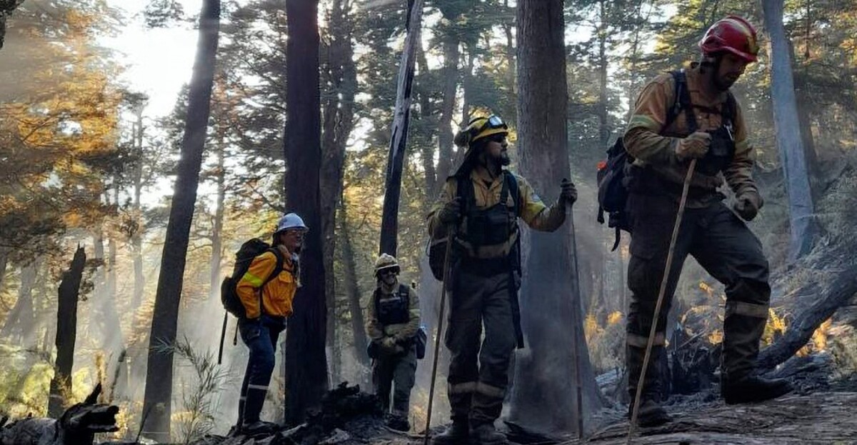 В Аргентине туристка спровоцировала пожар, охвативший более 200 гектаров