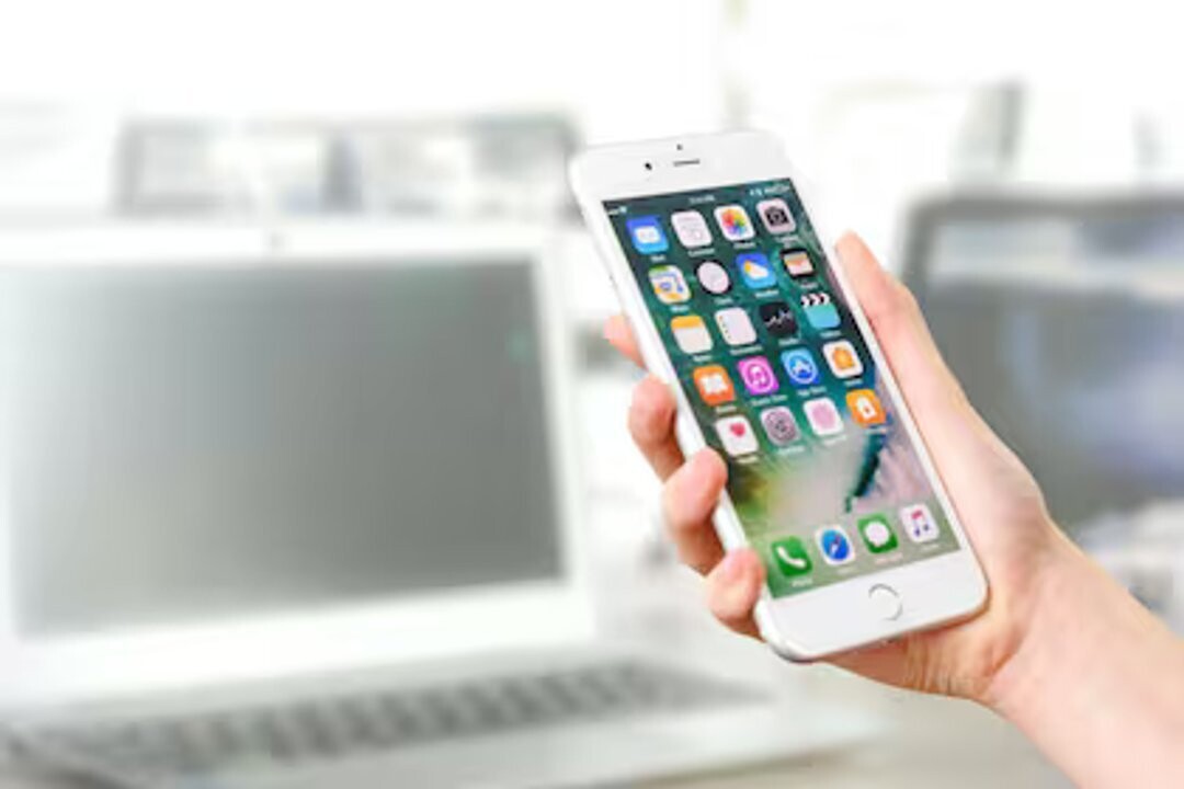 2025年阿根廷人大规模转向在线购物