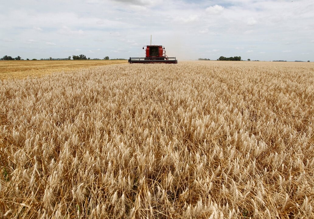 Soybean harvest exceeds expectations despite adversities