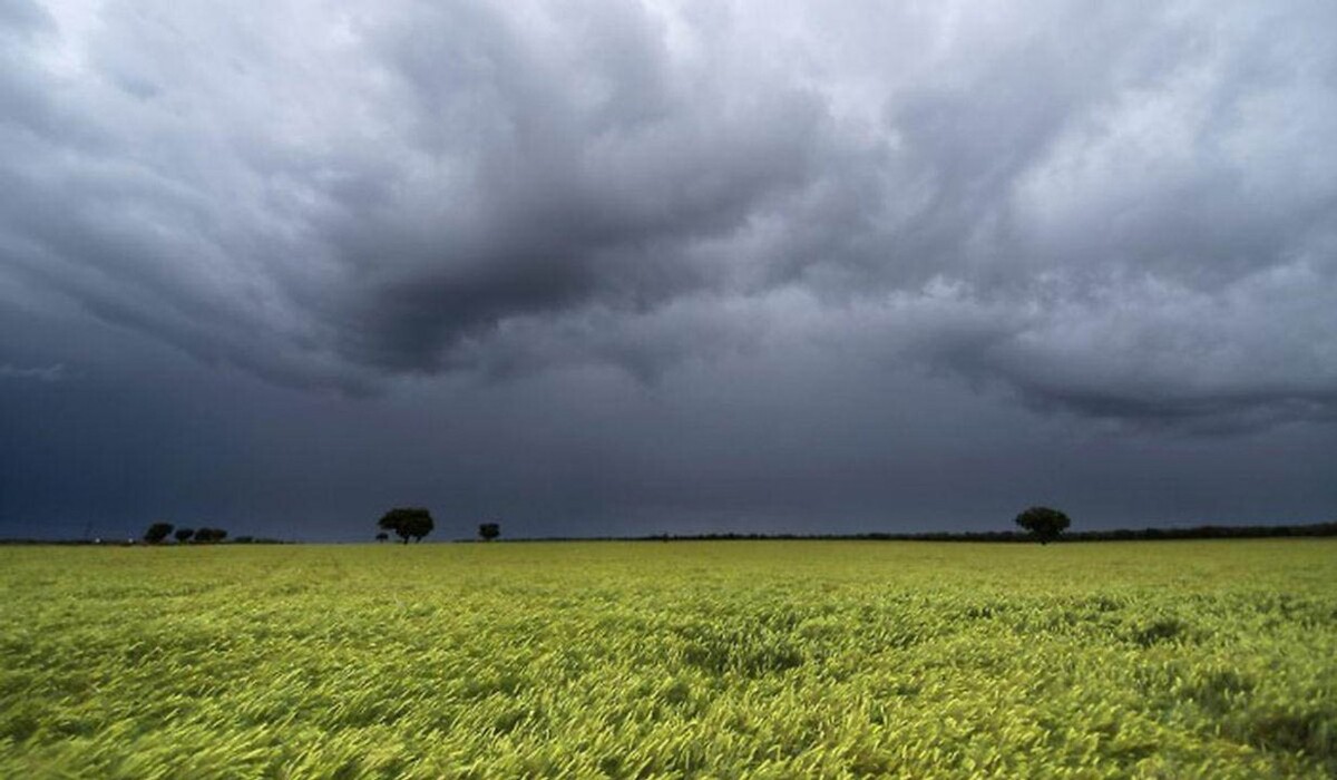 Significant Rainfall in Santa Fe Region