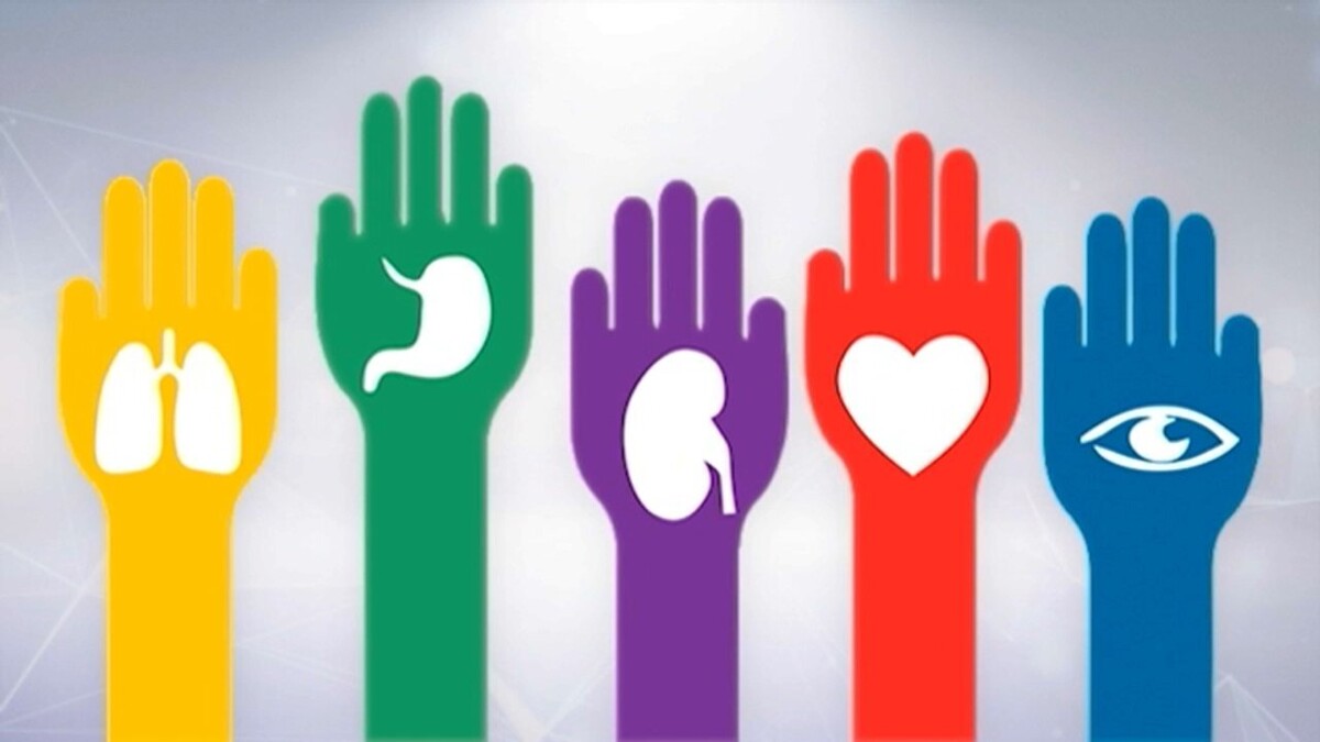 В Аргентине упрощают процедуру донорства костного мозга