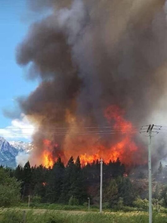 Control of Wildfire in Epuyén