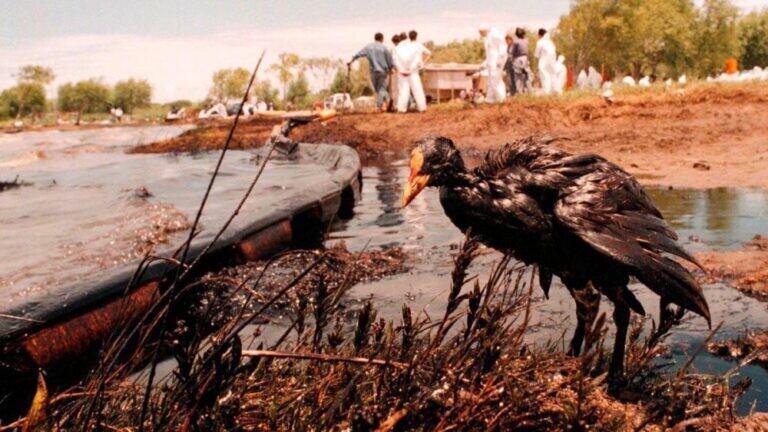 Remembering the Magdalena Environmental Disaster