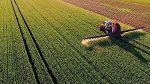 La Argentina alcanzará un récord histórico de producción de granos en la campaña 2025/26