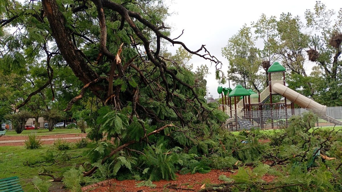 Шторм в Аргентине: десятки звонков и разрушения