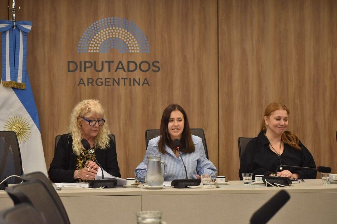 科尔多瓦议员担任市政事务委员会主席