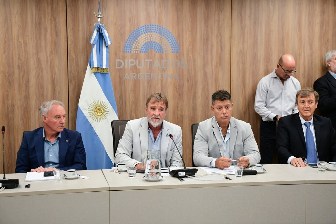 Аргентина: Палата депутатов назначает руководителей комитетов