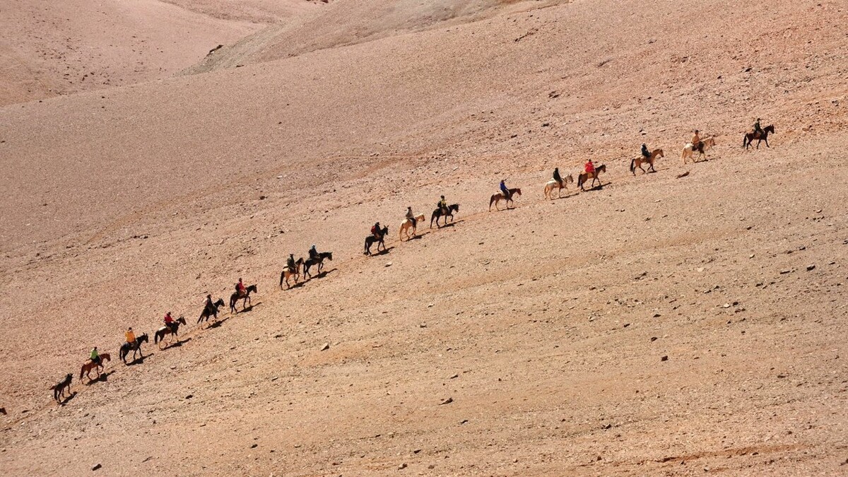 Epic Horseback Journey Across the Andes