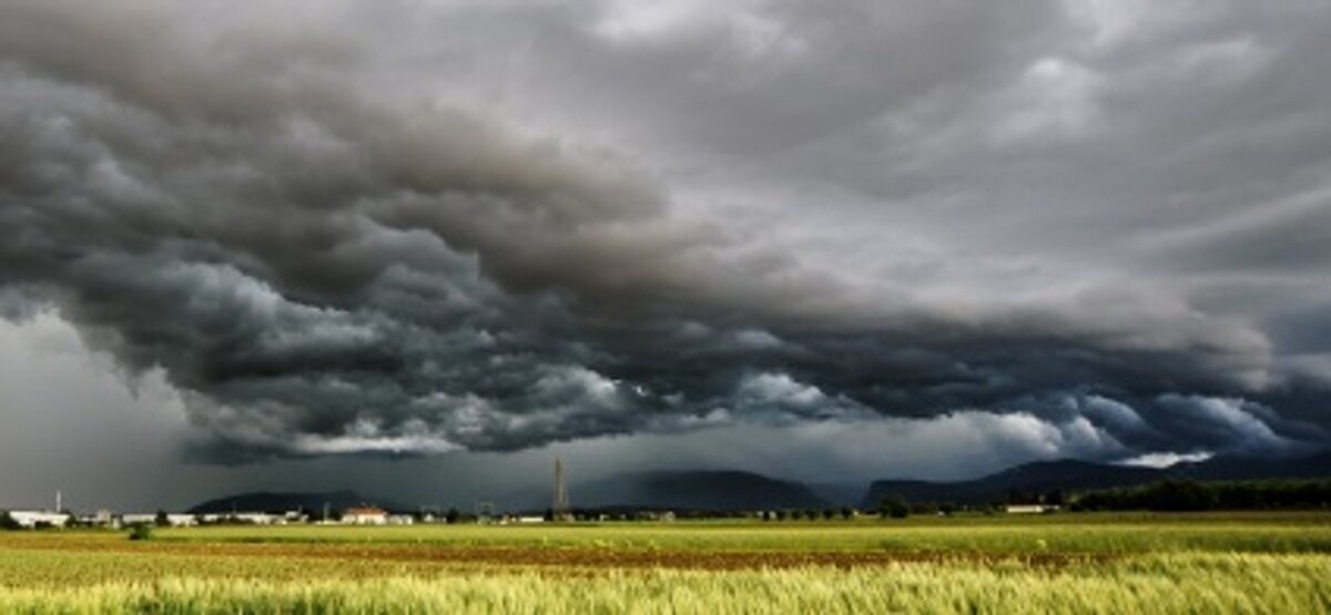 Аргентина: Необычная весна и рекордный урожай пшеницы