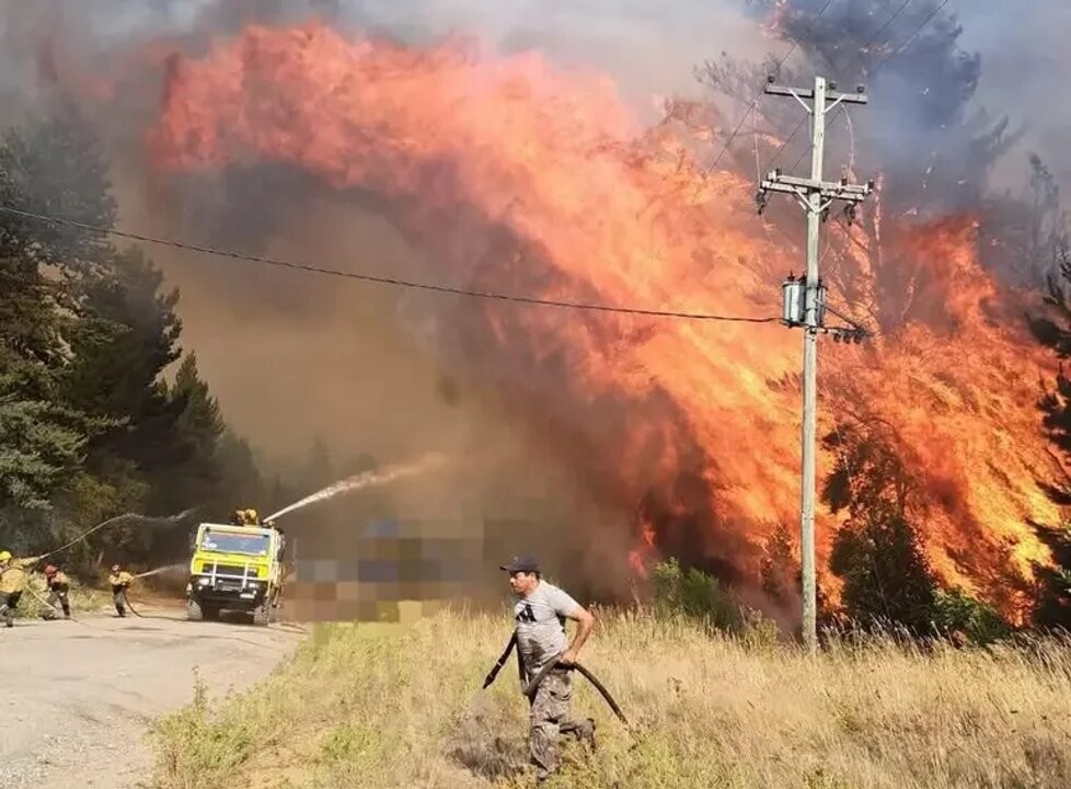 Heartbreaking situation due to fires in Río Negro