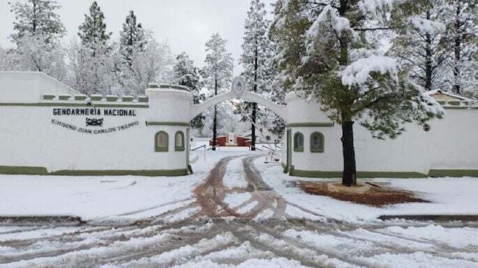 Крупная антинаркотическая операция в Кавиауэ привела к изъятию 800 килограммов кокаина