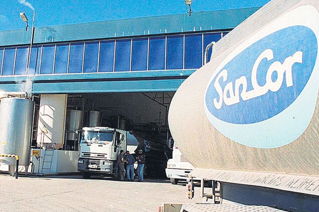 Argentine dairy company SanCor files for bankruptcy