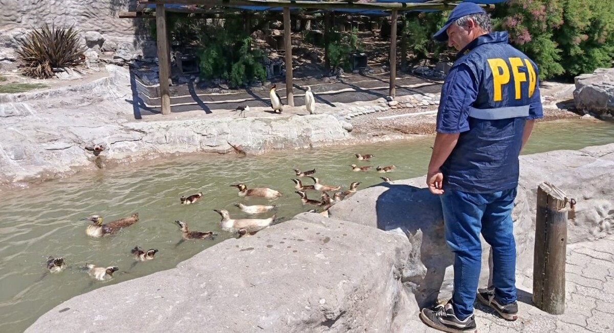 Argentine Police Raids 'Aquarium' Park Over Pollution Allegations