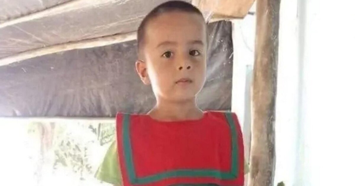 Родители пропавшего ребенка требуют продолжить федеральное расследование