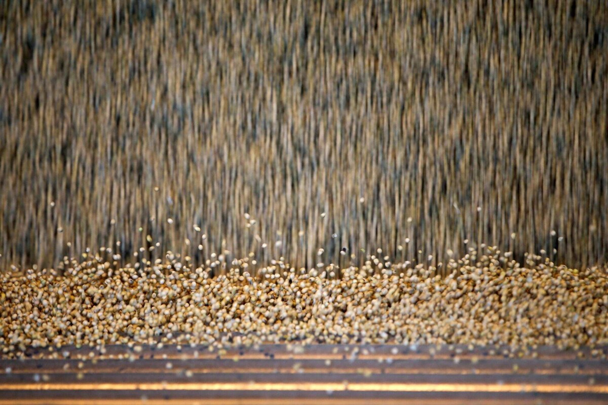 Новые вызовы перед аргентинскими фермерами в рамках нового экономического плана