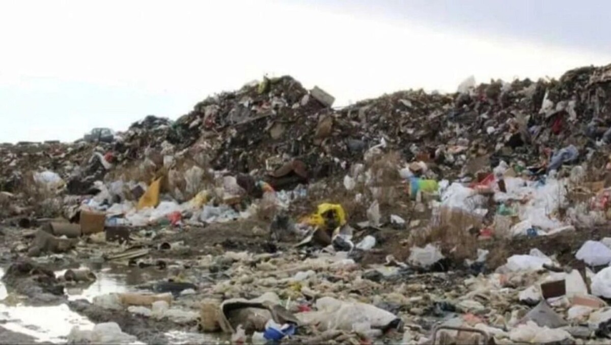 Подросток умерла после употребления мусорной еды в Аргентине