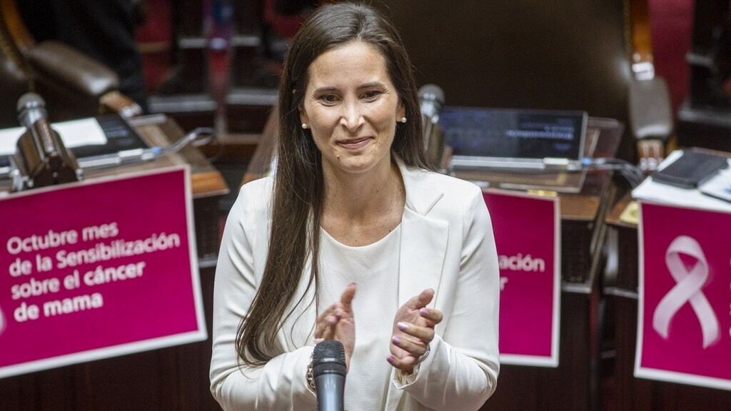 Аргентинский законодатель требует разъяснений по регулированию энергетического рынка