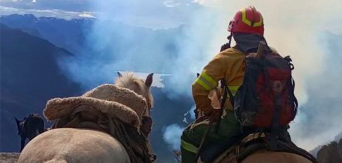 Лесной пожар в провинции Чубут