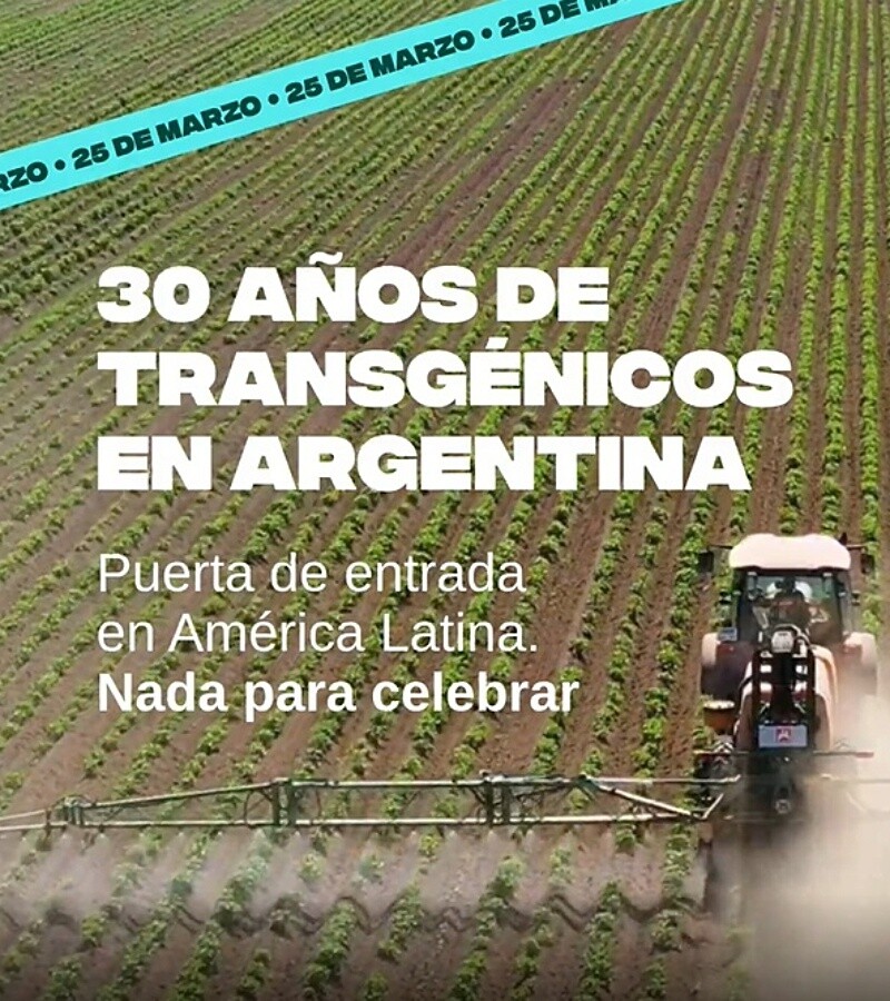 阿根廷转基因三十年：出口模式，而非粮食安全