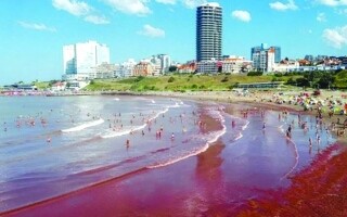 Stunning Red Tide Hits Atlantic Beaches in Argentina