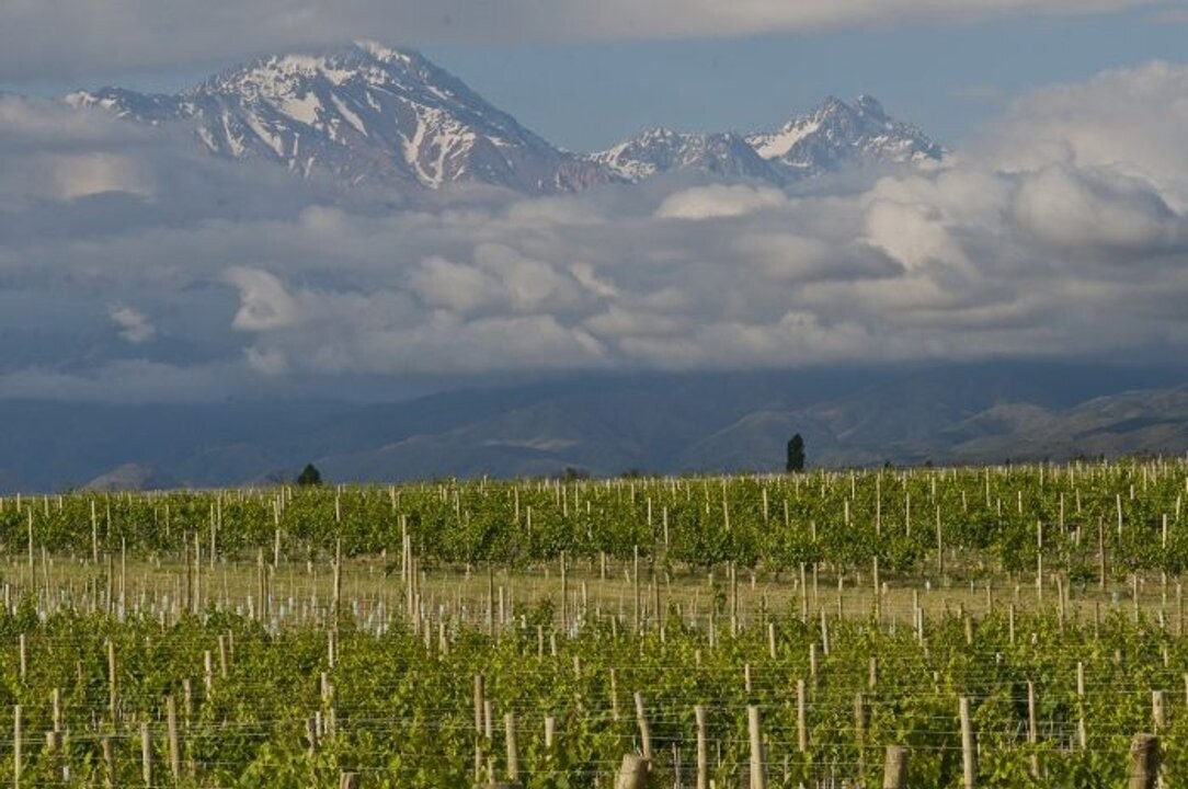 Валле-Уко: сердце приключений и вина в Мендосе