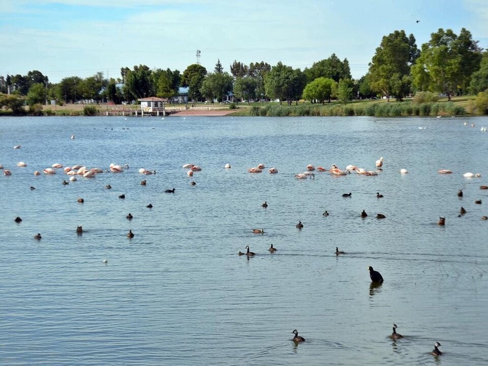 Trelew Declared 'Wetland City' Enhancing Environmental Policies