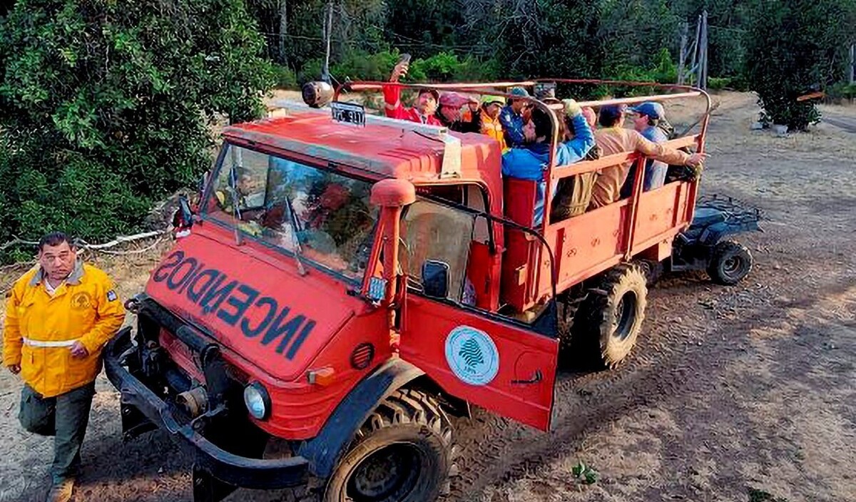 Forest Fires in Lago Puelo Destroy 3,000 Hectares of Forest