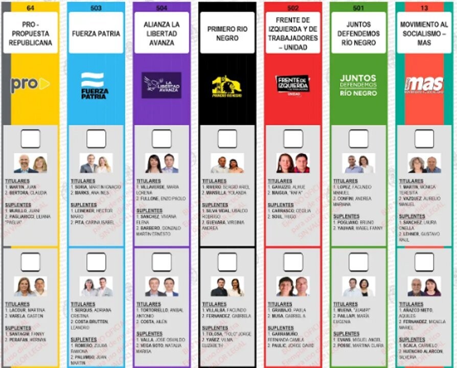 LLA побеждает на промежуточных выборах в Рио-Негро, Аргентина
