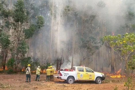 Active Fires in Corrientes: Over 20,000 Hectares Affected