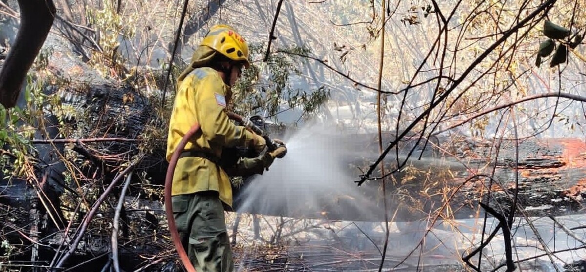 Пожары в Патагонии: Мэр Эпуэна сообщил о сотне сгоревших домов