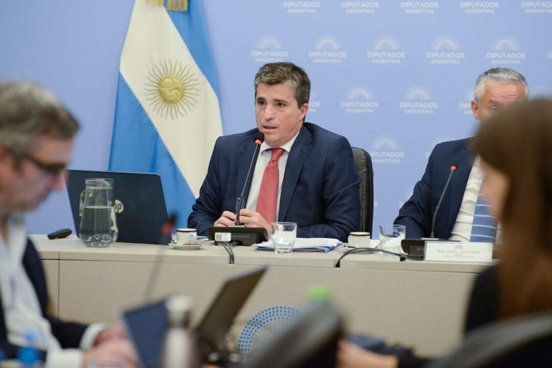 Новый закон Аргентины направлен на регулирование владения огнестрельным оружием и расширение программы добровольной сдачи