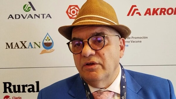 Argentine Economist Predicts Economic Stabilization in 2026