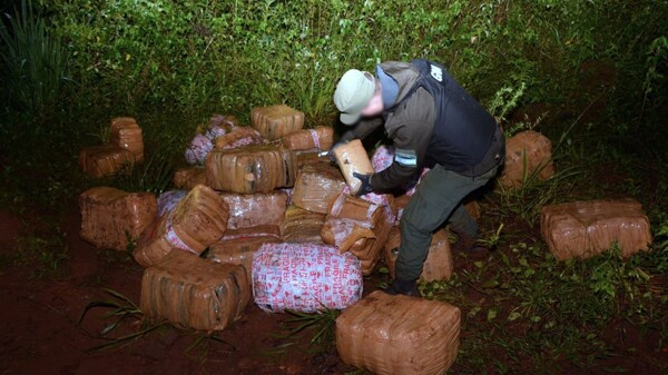 Marijuana Seizure in Misiones