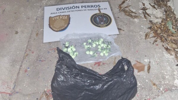 Правосудие Буэнос-Айреса закрыло отель после операции по борьбе с кокаином