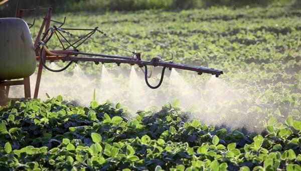 В Кордове временно запретили использовать пестициды рядом с университетским городком