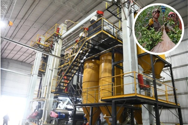 Компания Andresito приостанавливает платежи из-за кризиса в секторе мате