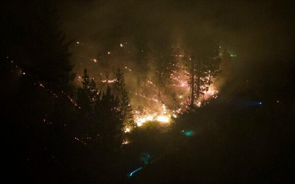 Mass Protest in Buenos Aires for Patagonia's Forests