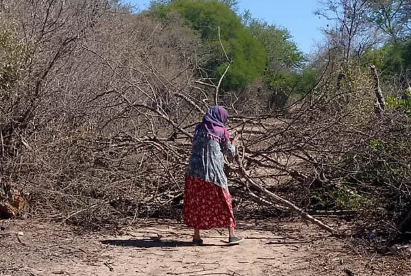 Конфликт в Салте: коренные народы против грабежа земель