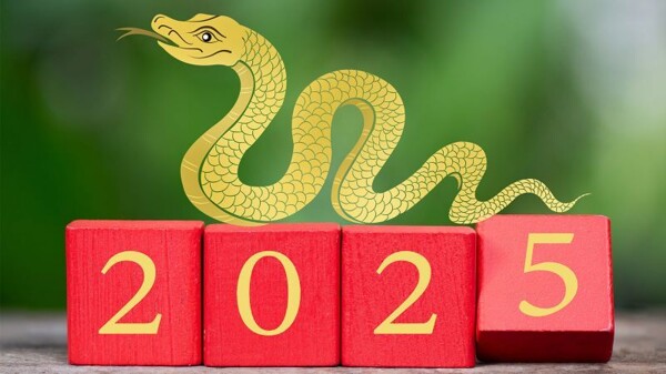 Predictions for the Year of the Wooden Snake