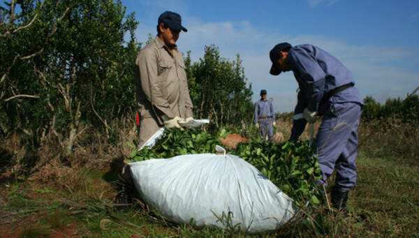 Significant Surge in Food Imports in Argentina